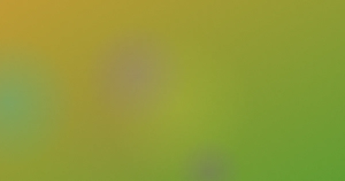 雨霖对比：一次四选一取名复盘